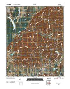 Ripley North 2010 topographic map thumbnail