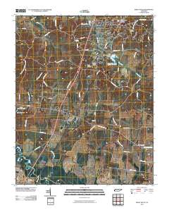 Ripley South 2010 topographic map thumbnail