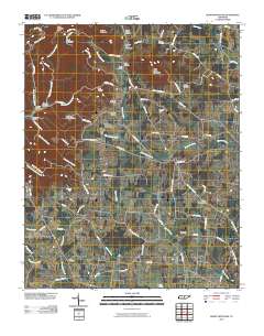 Short Mountain 2010 topographic map thumbnail