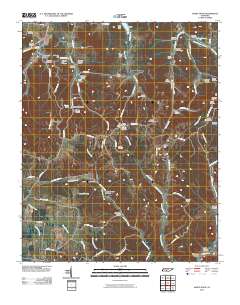 Sandy Hook 2010 topographic map thumbnail