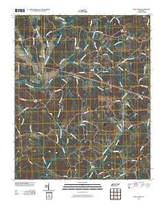 Rose Creek 2010 topographic map thumbnail