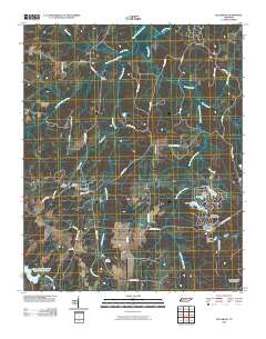 Saulsbury 2010 topographic map thumbnail