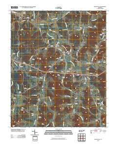 Readyville 2010 topographic map thumbnail