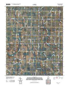 Toney 2010 topographic map thumbnail