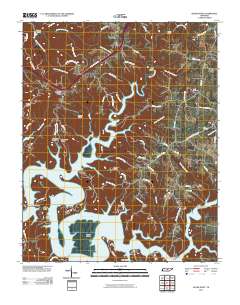 Silver Point 2010 topographic map thumbnail