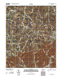 Turners Station 2010 topographic map thumbnail