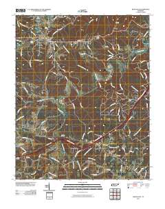 White Bluff 2010 topographic map thumbnail