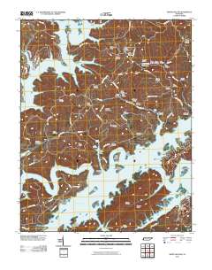 White Hollow 2010 topographic map thumbnail