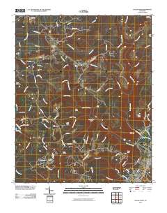 Savage Point 2010 topographic map thumbnail
