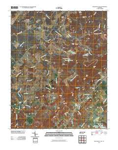 Billingsley Gap 2010 topographic map thumbnail