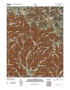 Pleasant Shade 2010 topographic map thumbnail