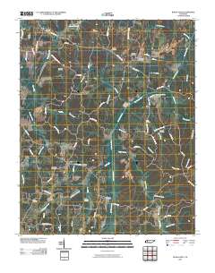 Buena Vista 2010 topographic map thumbnail