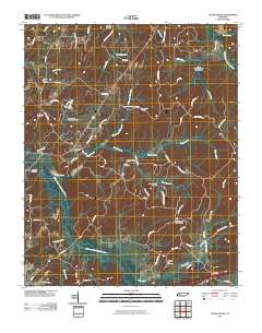 Cedar Grove 2010 topographic map thumbnail