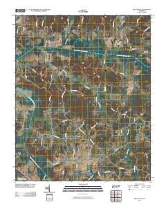 Beech Bluff 2010 topographic map thumbnail