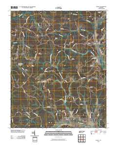 Enville 2010 topographic map thumbnail
