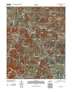 College Grove 2010 topographic map thumbnail