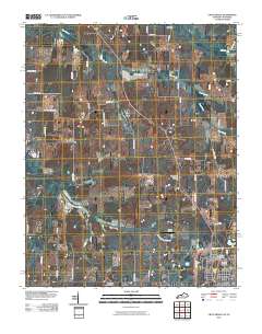 Crutchfield 2010 topographic map thumbnail