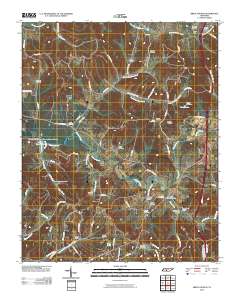 Brick Church 2010 topographic map thumbnail