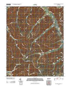 Beaverdam Springs 2010 topographic map thumbnail