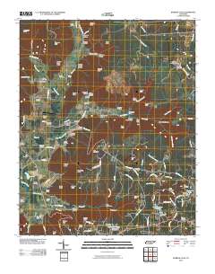 Burrow Cove 2010 topographic map thumbnail