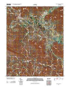 Camp Austin 2010 topographic map thumbnail