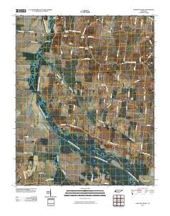 Chestnut Bluff 2010 topographic map thumbnail