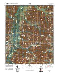 Bruceton 2010 topographic map thumbnail