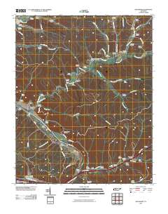 Bucksnort 2010 topographic map thumbnail