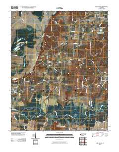 Fort Pillow 2010 topographic map thumbnail