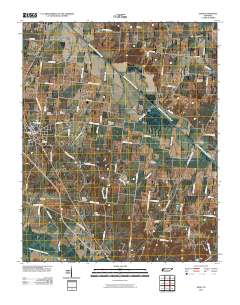 Dyer 2010 topographic map thumbnail