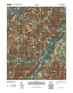 Manleyville 2010 topographic map thumbnail