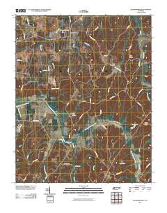 McLemoresville 2010 topographic map thumbnail
