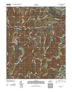 Long Branch 2010 topographic map thumbnail