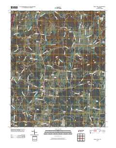 Rally Hill 2010 topographic map thumbnail