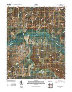 Trezevant East 2010 topographic map thumbnail