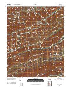 Swan Island 2010 topographic map thumbnail