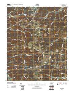 Vanleer 2010 topographic map thumbnail