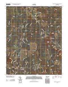 Smartt Mountain 2010 topographic map thumbnail