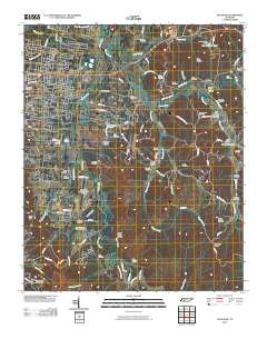 Savannah 2010 topographic map thumbnail