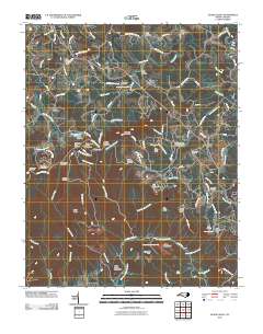 Glade Valley 2010 topographic map thumbnail