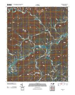 Grandin 2010 topographic map thumbnail