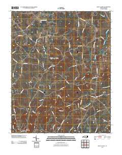 Grays Chapel 2010 topographic map thumbnail