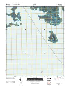 Great Island 2010 topographic map thumbnail