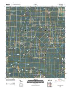 Juniper Creek 2010 topographic map thumbnail