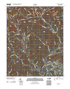 McGrady 2010 topographic map thumbnail