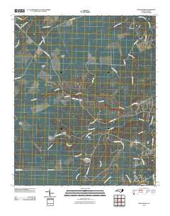 Lewis Swamp 2010 topographic map thumbnail