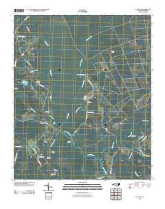 Old Dock 2010 topographic map thumbnail