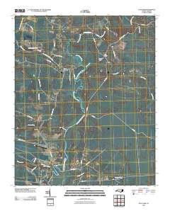 Stag Park 2010 topographic map thumbnail