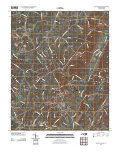 Mount Pleasant 2010 topographic map thumbnail