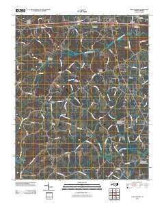 Lone Hickory 2010 topographic map thumbnail